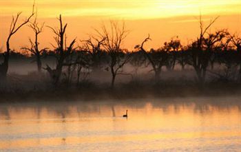 Pike River Luxury Villas Renmark Bagian luar foto